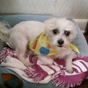 Meet your Posher, James